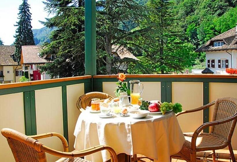 آپارتمان 1 خوابه با بالکن, Apparthotel Gartenresidence Nalserhof