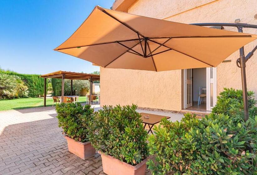 استودیوی استاندارد, Bonsai B&b Alghero