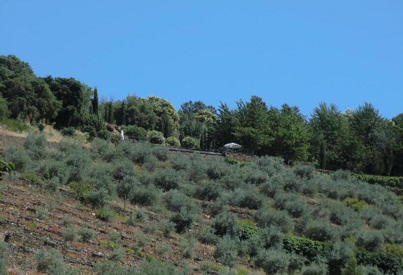 خانه 1 خوابه, Quinta Das Aveleiras