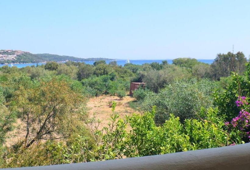 استودیوی استاندارد با چشم‌انداز دریا, Marinella, Sardegna