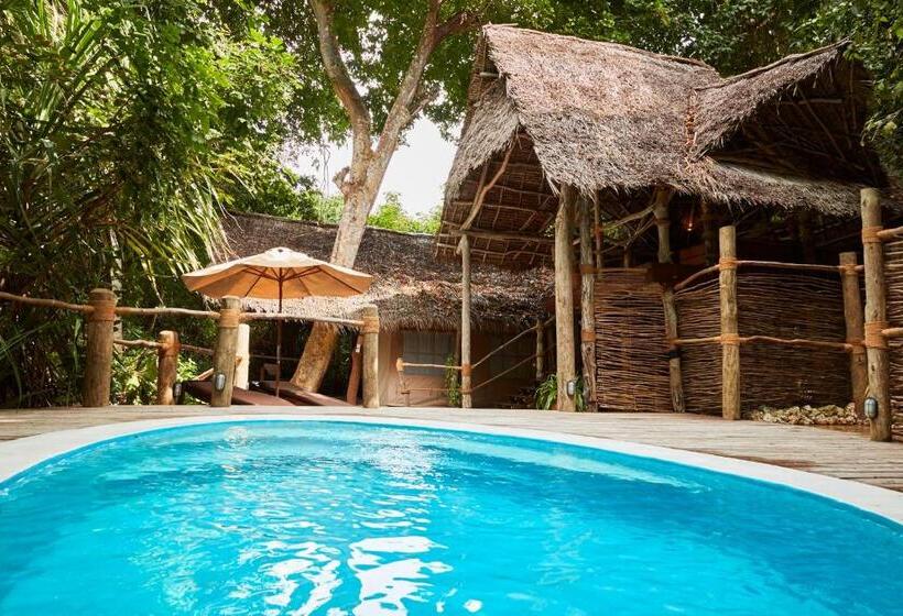 سوئیت جونیور با چشم‌انداز باغ, Fundu Lagoon
