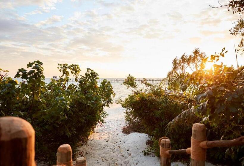 سوییت جونیور با چشم‌انداز دریا, Fundu Lagoon