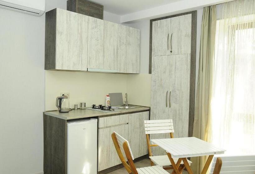 استودیوی استاندارد, Borjomi Apartments Apart