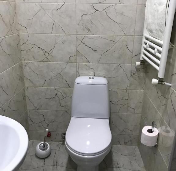 استودیوی استاندارد, Borjomi Apartments Apart