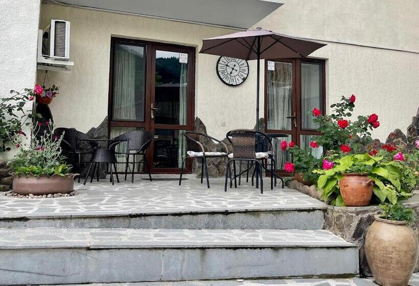 آپارتمان 1 خوابه, Borjomi Apartments Apart