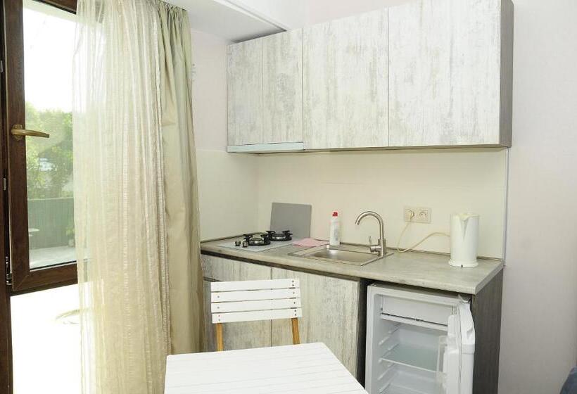 آپارتمان 1 خوابه, Borjomi Apartments Apart