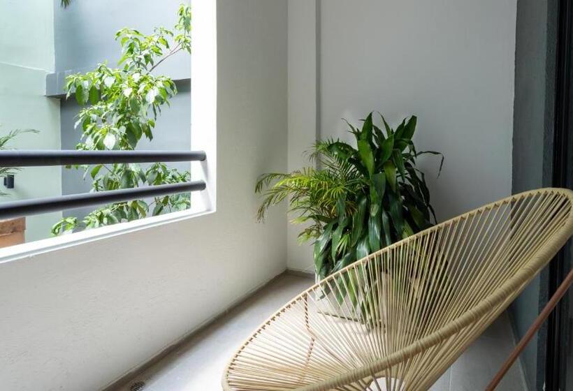 اتاق لوکس, Soy Local Primavera