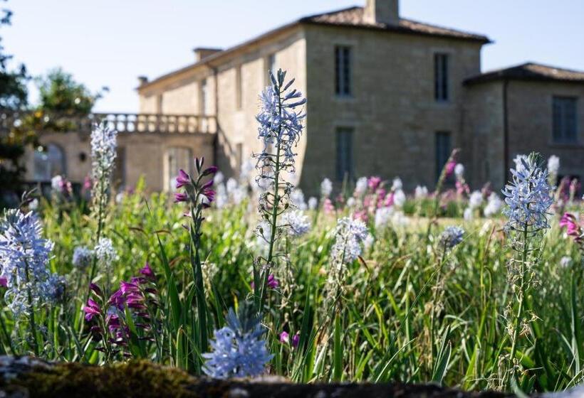 استودیو استاندارد با چشم‌انداز باغ, Chateau De Ferrand
