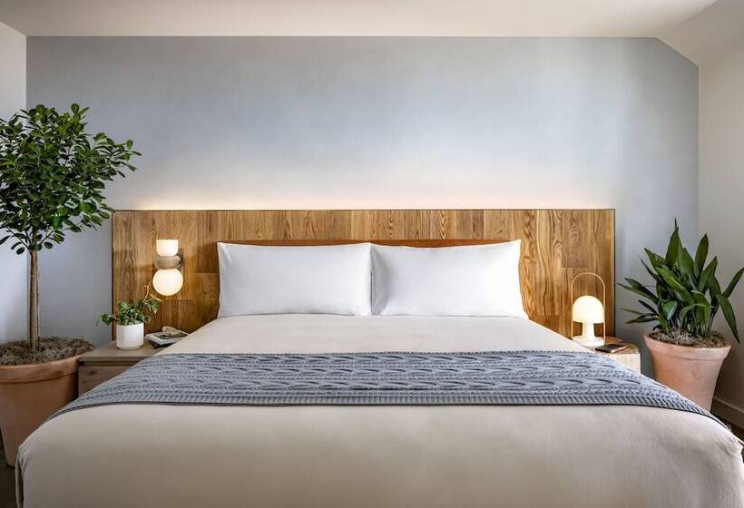استودیوی استاندارد با تخت دوبل, 1 Hotel Toronto