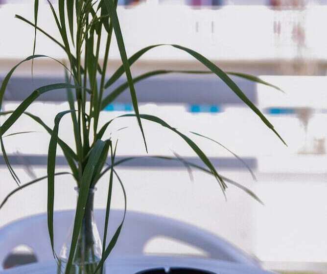 اتاق استاندارد, Amaryllis
