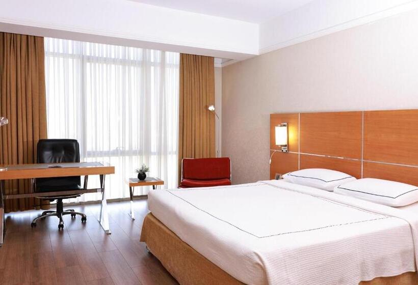 اتاق سوپریور, Anemon Grand Denizli Otel
