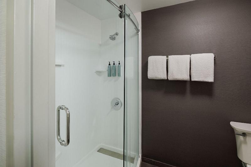 اتاق استاندارد با تخت بزرگ, Hilton Garden Inn Frankfurt Airport
