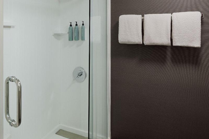 اتاق استاندارد با تخت بزرگ, Hilton Garden Inn Frankfurt Airport