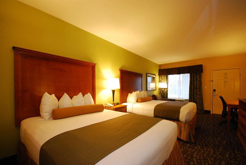 اتاق استاندارد, Hilton Garden Inn Frankfurt Airport