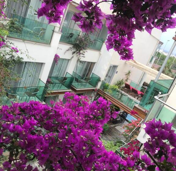 اتاق استاندارد, Marin A Hotel & Spa Turgutreis