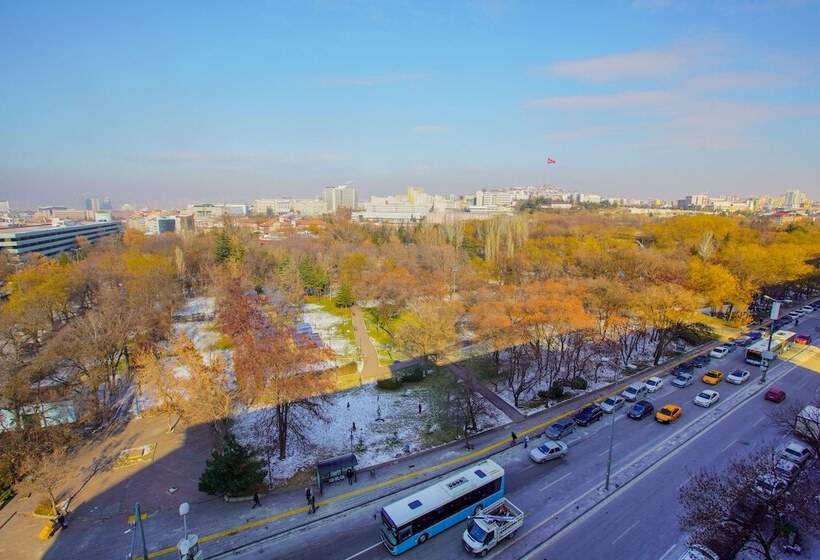 سوییت اجرایی, New Park