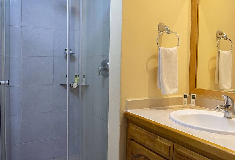 استودیوی استاندارد, Santa Fe Loreto by Villa Group