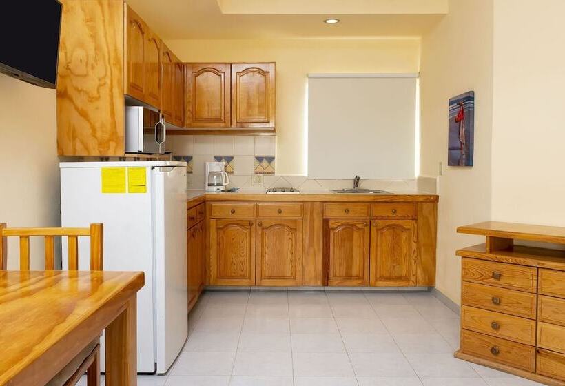 استودیوی استاندارد, Santa Fe Loreto by Villa Group