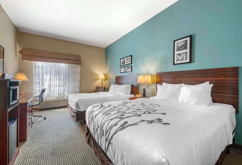 اتاق استاندارد با 2 تخت دوبل, Sleep Inn & Suites