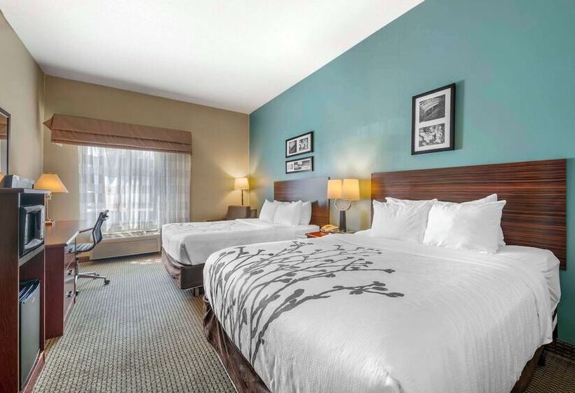 اتاق استاندارد با 2 تخت دوبل, Sleep Inn And Suites Rapid City