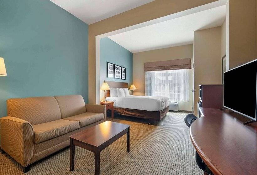 Suite, Sleep Inn And Suites Rapid City