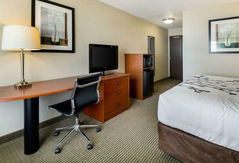 اتاق استاندارد با تخت بزرگ, Sleep Inn And Suites Rapid City