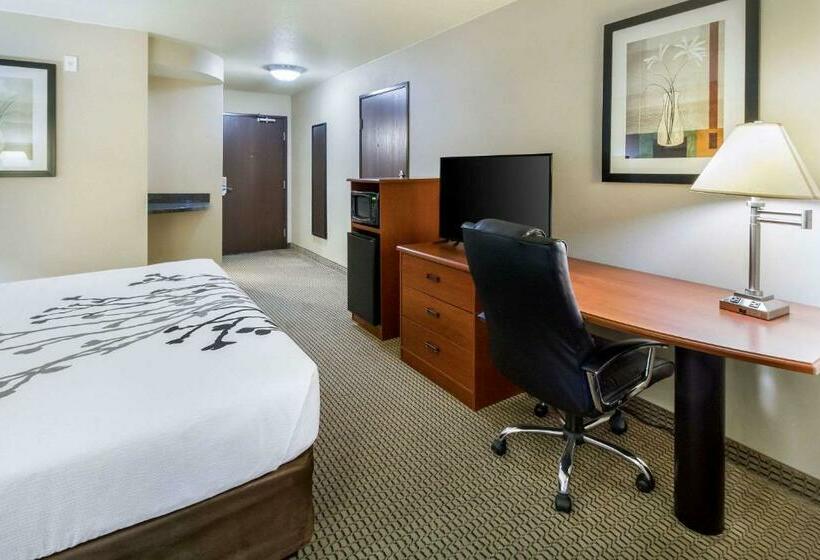 اتاق لوکس با تخت بزرگ, Sleep Inn And Suites Rapid City