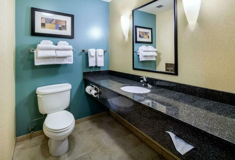 اتاق لوکس با تخت بزرگ, Sleep Inn & Suites