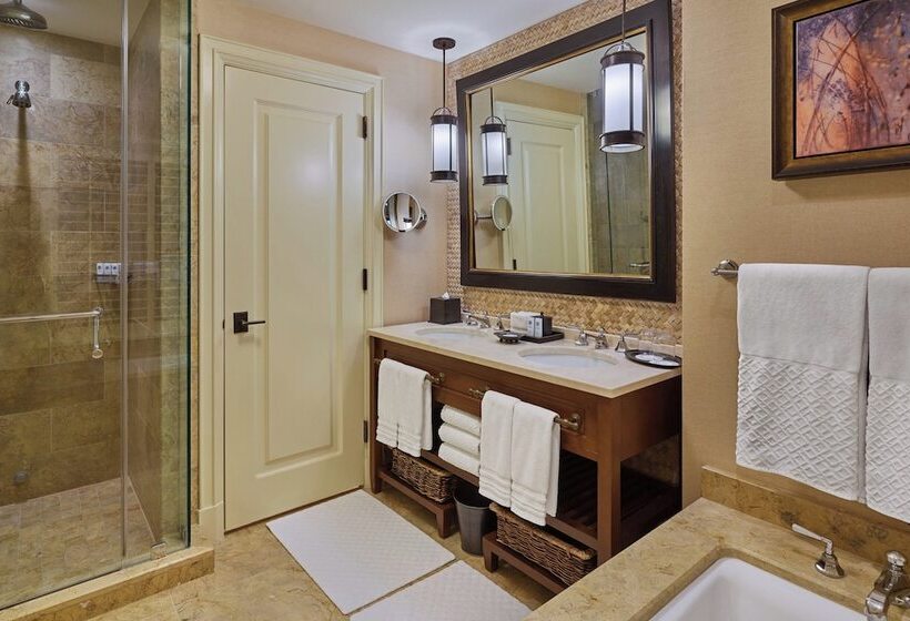 اتاق دلوکس مخصوص معلولین, St. Regis Deer Valley