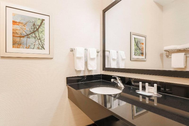 اتاق استاندارد با تخت بزرگ, Fairfield Inn & Suites Tampa Fairgrounds/casino
