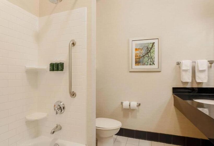 اتاق استاندارد با تخت بزرگ, Fairfield Inn & Suites Tampa Fairgrounds/casino
