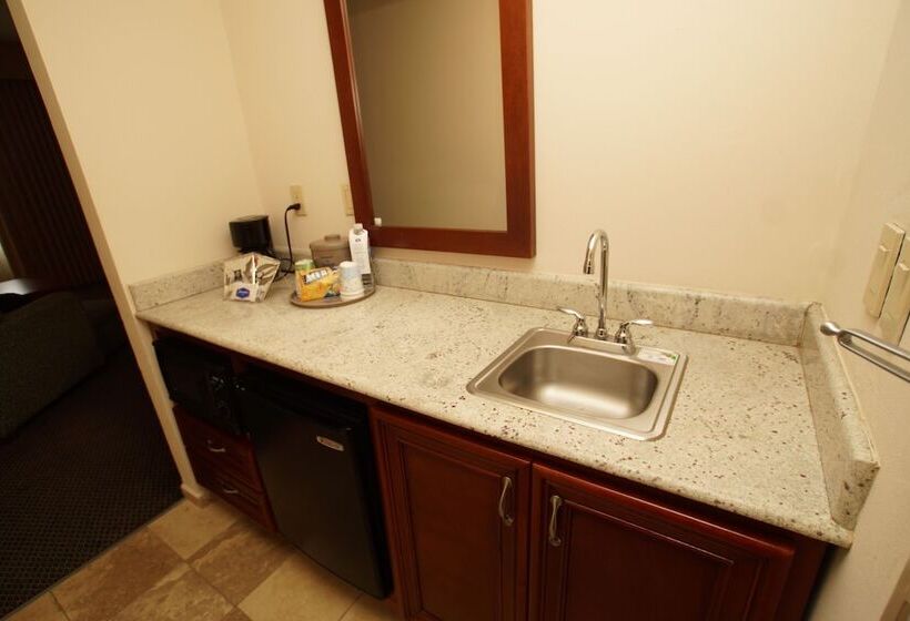 استودیوی استاندارد, Hampton Inn By Hilton Tampico Aeropuerto