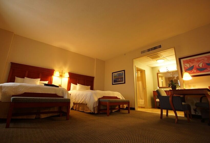 استودیوی استاندارد, Hampton Inn By Hilton Tampico Aeropuerto