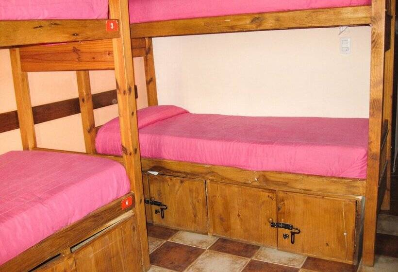 سرير فى غرفة مشتركة مزودة بحمام مشترك, Hostel Inn Calafate