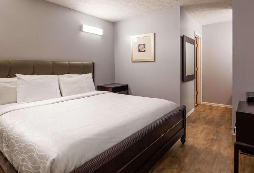 اتاق استاندارد با تخت بزرگ, Apple Valley Inn Pigeon Forge