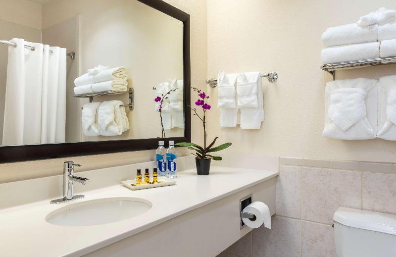 سوئیت با تخت بزرگ, Best Western Plus Downtown Inn & Suites