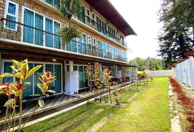 اتاق سوپریور, Century Pines Resort