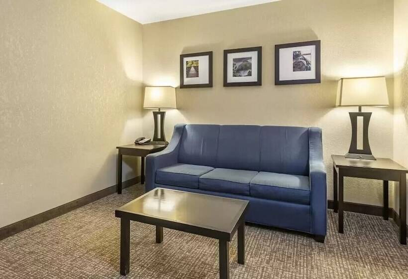 سوییت, Comfort Inn & Suites Allen Park  Dearborn