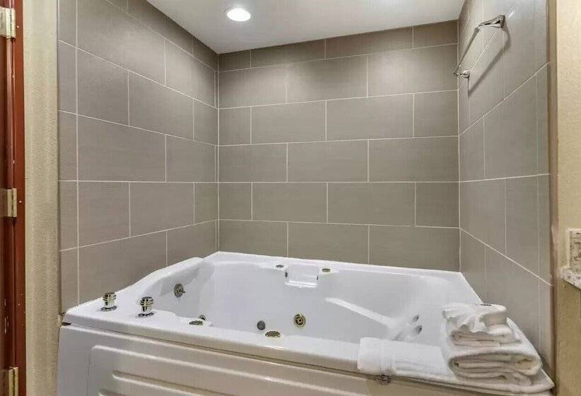 سوییت, Comfort Inn & Suites Allen Park  Dearborn