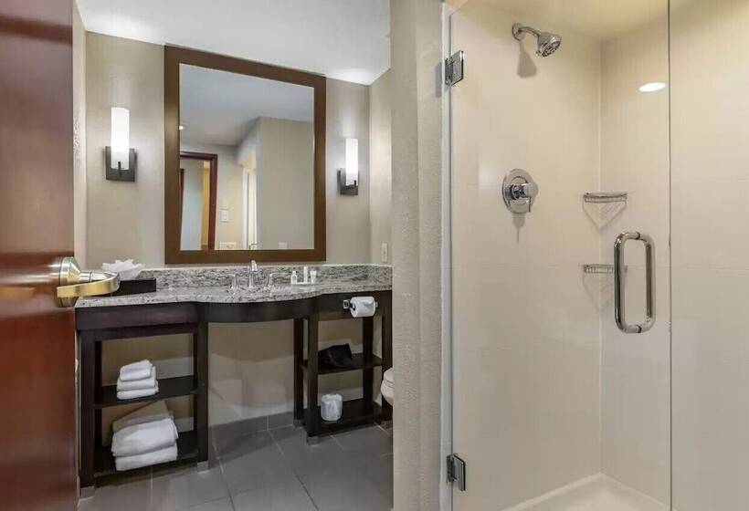 سوییت, Comfort Inn & Suites Allen Park  Dearborn