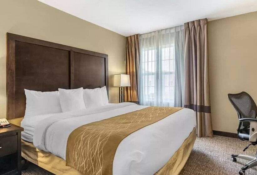 سوییت, Comfort Inn & Suites Allen Park  Dearborn