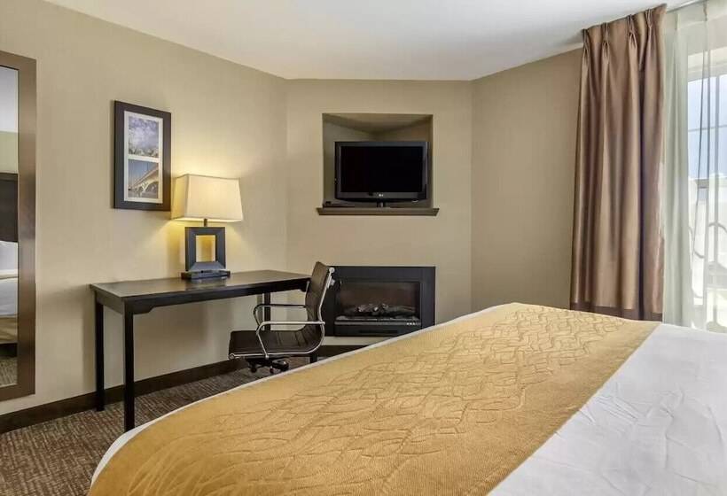 سوییت, Comfort Inn & Suites Allen Park  Dearborn