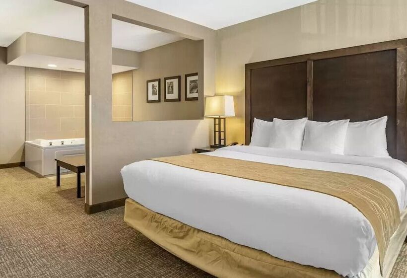 سوییت, Comfort Inn & Suites Allen Park  Dearborn