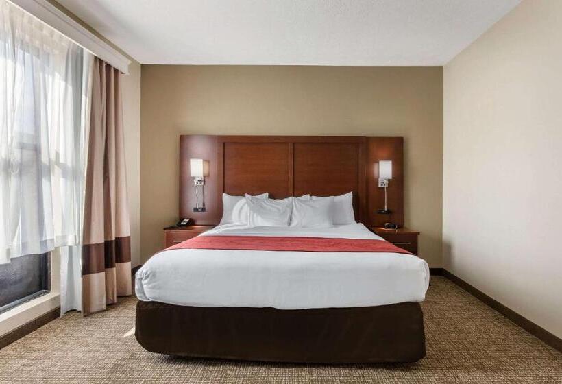 Suite Adapted for people with reduced mobility, Comfort Suites Nashville