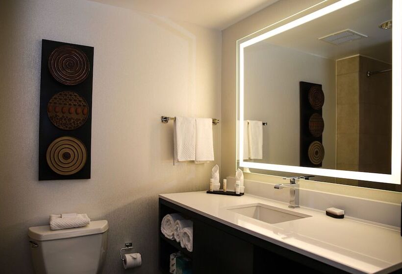 سوییت, Embassy Suites By Hilton Houston Energy Corridor