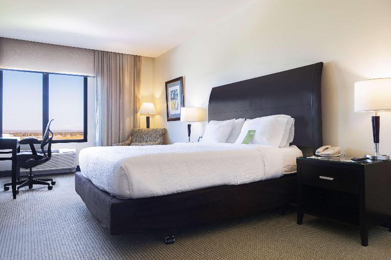 اتاق استاندارد با تخت بزرگ, Hilton Garden Inn Liberia Airport