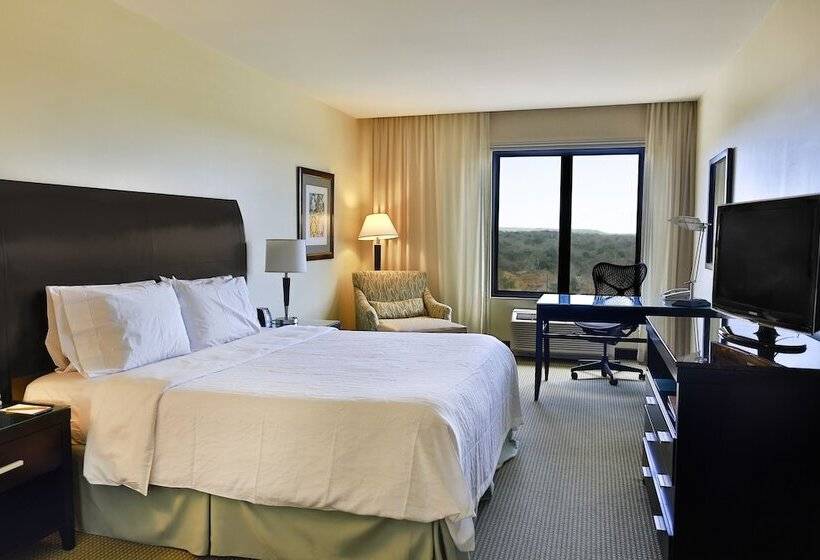 اتاق استاندارد با تخت دوبل برای معلولان, Hilton Garden Inn Liberia Airport