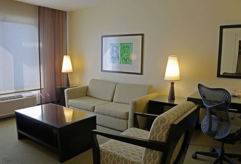 اتاق استاندارد با تخت دوبل, Hilton Garden Inn Liberia Airport