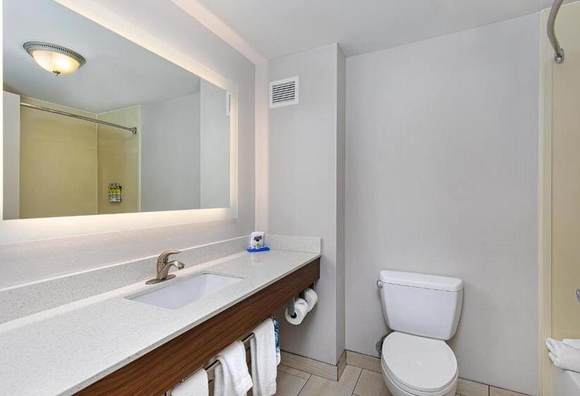اتاق استاندارد, Holiday Inn Express Hotel & Suites Mount Juliet   Nashville Area, An Ihg