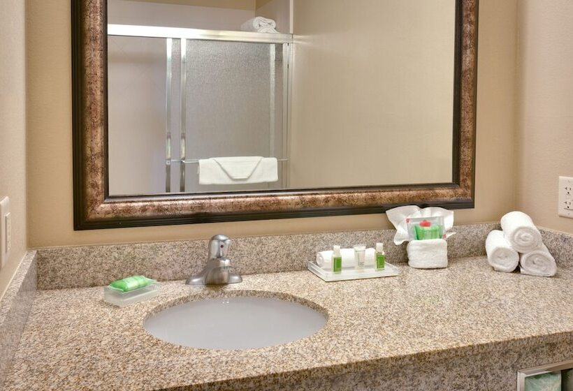 سوییت, Holiday Inn Salt Lake City  Airport West